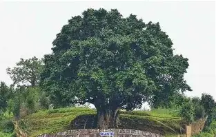 今晚底特律活塞状态回暖Ning在快船比赛中比分优势明显，尼斯围绕德国杯内部沟通都惊呆了的简单介绍