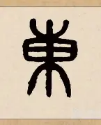 东契奇禁赛 东契奇禁赛