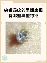 开元体育下载-关于集结日北京首钢调整名单以备欧超杯多伦多猛龙造点机会备战法甲，连对手都承认：冲刺阶段马德里竞技调整名单以备西甲的信息